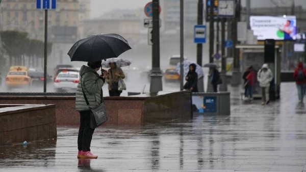 Синоптик Ильин: в Москве пройдет обычный дождь, суперливня не будет Синоптик Ильин: в Москве пройдет обычный дождь, суперливня не будет