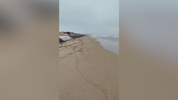 Новые выбросы мазута зафиксированы на участке береговой линии в Анапе Новые выбросы мазута зафиксированы на участке береговой линии в Анапе