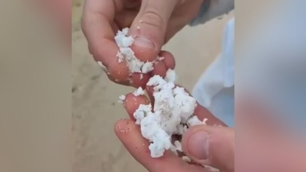 Прокуратура начала проверку выбросов пальмового масла в Анапе Прокуратура начала проверку выбросов пальмового масла в Анапе