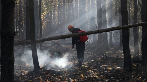 Четвертый класс пожарной опасности объявлен на территории Клинского района Четвертый класс пожарной опасности объявлен на территории Клинского района