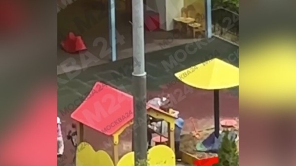 Воспитатель детсада, ударившая ребенка во время прогулки, будет уволена Воспитатель детсада, ударившая ребенка во время прогулки, будет уволена