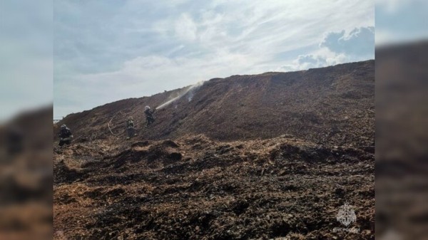 Крупный пожар на свалке отходов лесопиления в Красноярском крае ликвидирован Крупный пожар на свалке отходов лесопиления в Красноярском крае ликвидирован