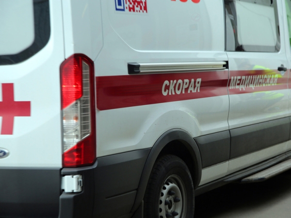 Кобра напала на москвичку из ее же рюкзака Кобра напала на москвичку из ее же рюкзака