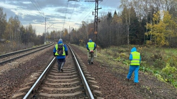 Следователи обнаружили фрагменты частей тела пропавшего подростка из Лобни Следователи обнаружили фрагменты частей тела пропавшего подростка из Лобни