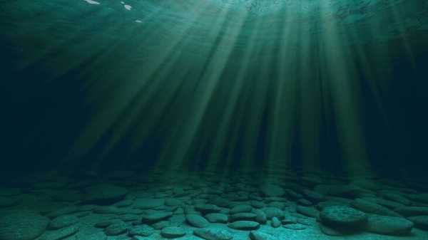 Science Advances: тектоническая плита Эксплорер начала разрушаться в Тихом океане Science Advances: тектоническая плита Эксплорер начала разрушаться в Тихом океане
