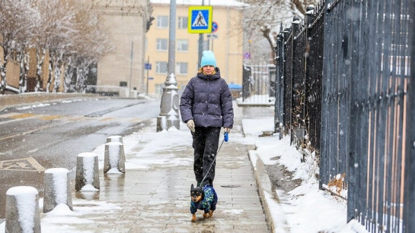 Оттепель ожидается в Москве с 28 февраля по 2 марта Оттепель ожидается в Москве с 28 февраля по 2 марта