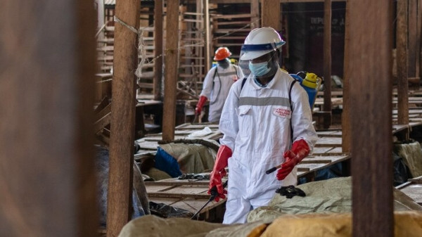 Число возможных случаев заражения Эболой превысило 900 Число возможных случаев заражения Эболой превысило 900